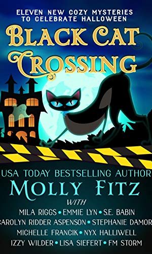 Black Cat Crossing: A Collection of 11 Cozy Mysteries to Celebrate Halloween