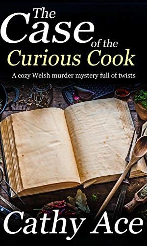 THE CASE OF THE CURIOUS COOK a cozy Welsh murder mystery full of twists (WISE Enquiries Agency Mysteries Book 3)