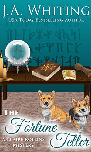 The Fortune Teller (A Claire Rollins Mystery Book 9)