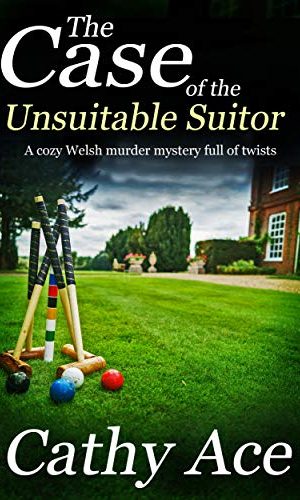 THE CASE OF THE UNSUITABLE SUITOR a cozy Welsh mystery full of twists (WISE Enquiries Agency Mysteries Book 4)