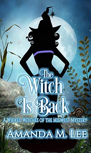 The Witch is Back (Wicked Witches of the Midwest Book 17)