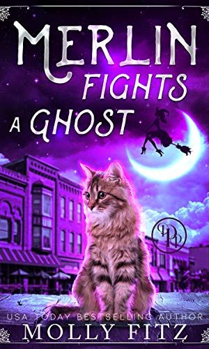 Merlin Fights a Ghost: A Hilarious Mystery with a Witchy Cat and his Human Familiar (Merlin the Magical Fluff Book 2)