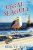 Legal Seagull: A Hilarious Cozy Mystery with One Very Entitled Cat Detective (Pet Whisperer P.I. Book 12)